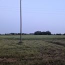  تجربه کار داوطلبانه و زندگی در طبیعت گیلان 的照片