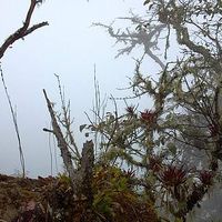 Shay Hohmann's Photo