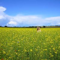 Le foto di Esmée Ruizendaal