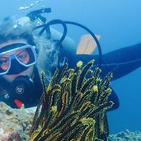 Amanda Trivella's Photo