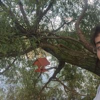 Maryam Rahmani的照片