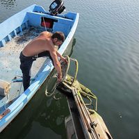 Markos Paptsikis Fraentzel's Photo