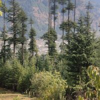 Hadil Hadi's Photo