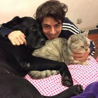 Фотографии пользователя Giulio Balzini