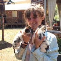 Jenny Olins的照片