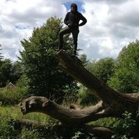 Sander Trenson的照片