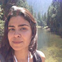 Paula Rocha的照片