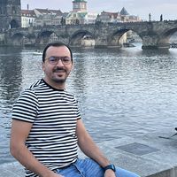 Nidal Louzi的照片