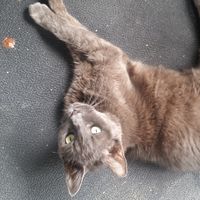 michael ferncase's Photo