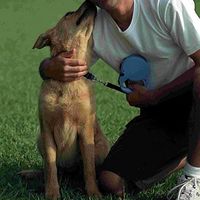 Gabriel Sawakuchi's Photo