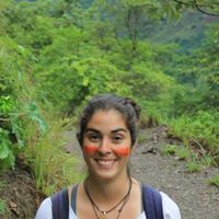 Marina Figueiredo的照片