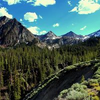 Nick  Underwood's Photo