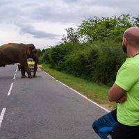 Ahmed Fahmy的照片