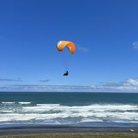 Jenny & Joss's Photo