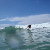 Le foto di Milroy Gonzo