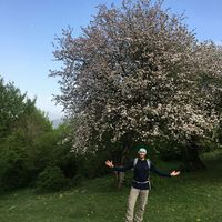 Omid Khosh sokhan's Photo