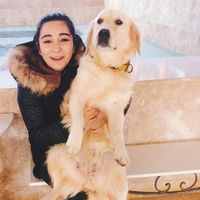 Deniz Yazıcı's Photo