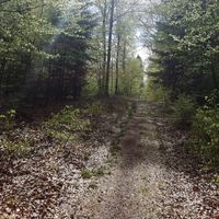 Céline et Léo  Erip的照片