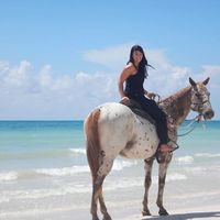 Fotos de Amy Dietrichová