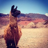 Łilian Avrilla's Photo