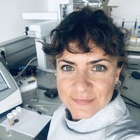 Aysun Capci的照片