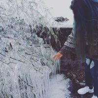 Alejandra Rodriguez的照片