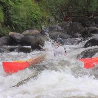 Curtis Mark-Stewart的照片