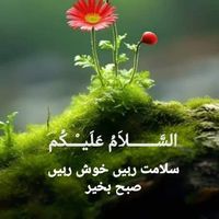 Muhammad Arif's Photo