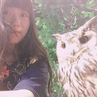 Photos de Shi Tou Haku