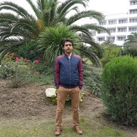 kourosh kosari's Photo