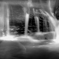 Neena Waldekar的照片