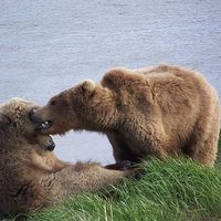 Jacqi and Zach .的照片