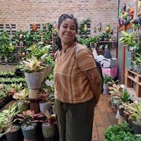 Lynn Travnikova的照片