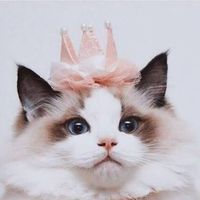 Olia Bardziy's Photo