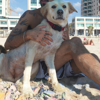 Ravid Sananes's Photo