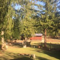 Zdjęcia użytkownika Ryan Turner