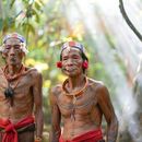 Mentawai Trip's picture
