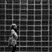 Pavla Nováková's Photo