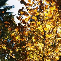 Фотографии пользователя Antares W.