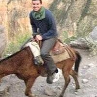 Le foto di David Iseral