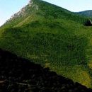 Sierra Gorda's picture