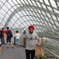 SUKHWINDER  SINGH's Photo