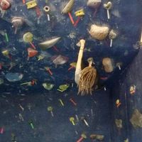 Maddy Desautels's Photo