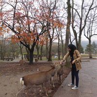 Dwi Sulistyorini's Photo