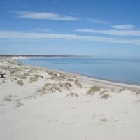 Antonio Xicotencatl's Photo