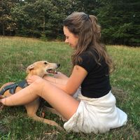 Gitta Schermer's Photo