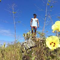Jeff zap's Photo