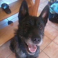 Le foto di Hervelina Jousset