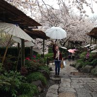 Фотографии пользователя Trang Nguyen