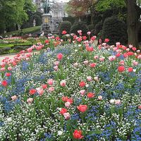 Stella Biondi's Photo